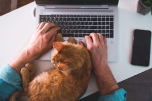 This image show how you can do a remote work from home